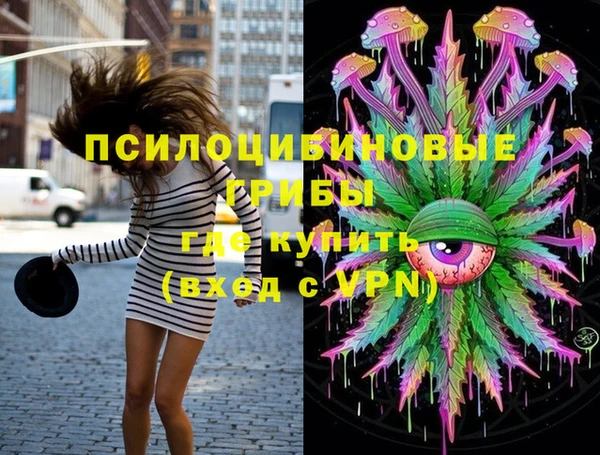 ГАЛЛЮЦИНОГЕННЫЕ ГРИБЫ Нязепетровск
