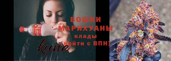 ГАЛЛЮЦИНОГЕННЫЕ ГРИБЫ Нязепетровск