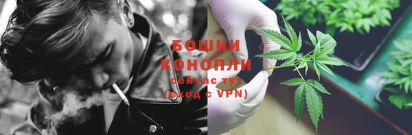 ГАЛЛЮЦИНОГЕННЫЕ ГРИБЫ Нязепетровск