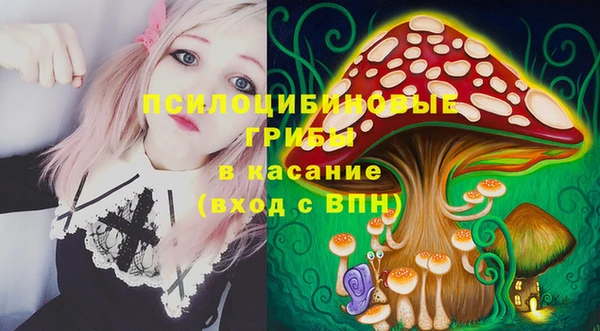 тгк Новодвинск