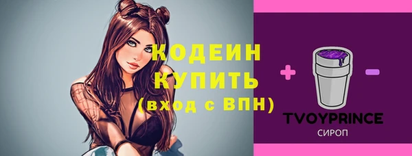 ГАЛЛЮЦИНОГЕННЫЕ ГРИБЫ Нязепетровск